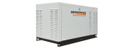 Генератор газовый Generac SG 040 - фото 1