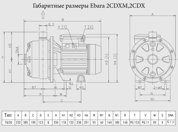 Насос поверхностный Ebara 2CDXM 70/20 - фото 2