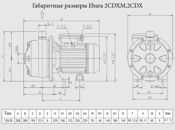 Насос поверхностный Ebara 2CDXM 120/20 - фото 2