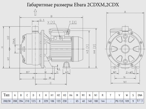 Насос поверхностный Ebara 2CDX 200/30 - фото 2