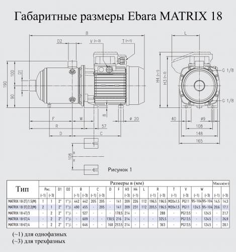 Насос поверхностный Ebara MATRIX 18-2T/1.5M - фото 2