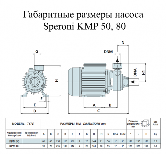 Насос поверхностный Speroni KPM 80(101020700) - фото 2