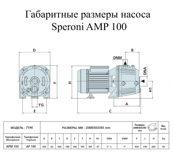 Насос поверхностный Speroni APM 100 - фото 2