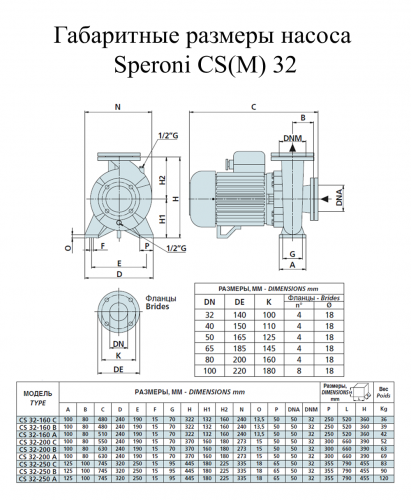 Насос поверхностный Speroni CSM 32-160B(101800020) - фото 2