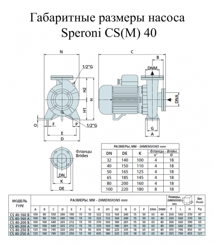 Насос поверхностный Speroni CS 40-160 A(101801300) - фото 2