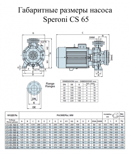 Насос поверхностный Speroni CS 65-160 C(101803400) - фото 2