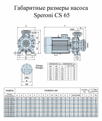 Насос поверхностный Speroni CS 65-160 A(101803420) - фото 2