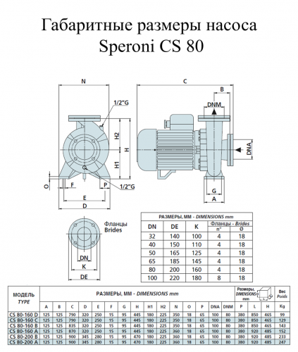 Насос поверхностный Speroni CS 80-160 D(101804380) - фото 2