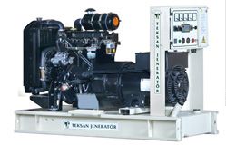 Генератор дизельный TEKSAN FOTON TJ25IS5A - фото 2