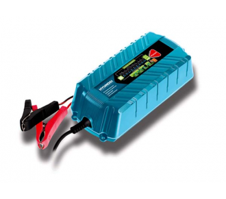 Зарядное устройство Hyundai HY 800