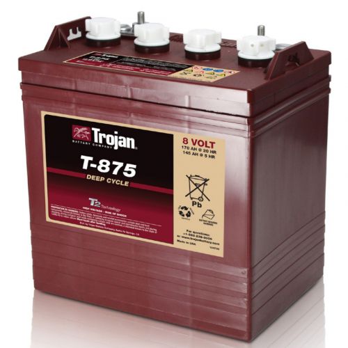 Аккумуляторная батарея TROJAN T875 - фото 1