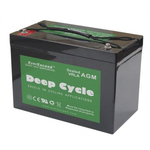 Аккумуляторная батарея EverExceed DP-12100 - фото 1