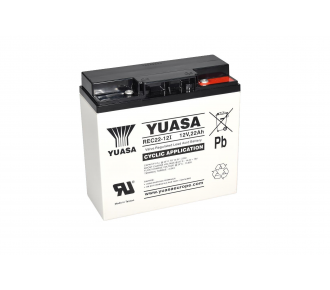 Аккумуляторная батарея Yuasa REC22-12I
