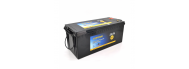 Аккумуляторная батарея Vipow 25,6V 100Ah (17732) - фото 1
