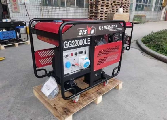 Генератор инверторный BISON GG 22000 LE ATS - фото 6