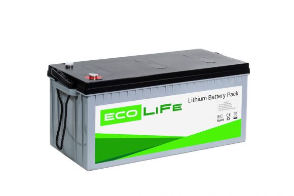 Аккумуляторная батарея EcoLiFe 24-150 - фото 1