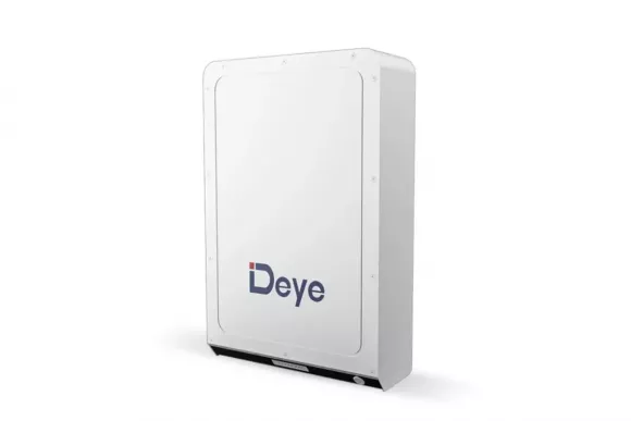 Аккумуляторная батарея Deye RW-M5.3 Pro 51.2V 104AH - фото 1