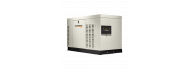 Генератор газовый Generac RG02224RNAX - фото 2