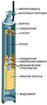 05.jpg